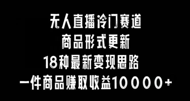 无人直播冷门赛道，商品形式更新，18种变现思路，一件商品赚取收益10000+【揭秘】-test