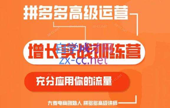 大麦老师·拼多多单品爆款打造课程(更新6月)-test