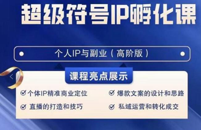 超级符号IP孵化高阶课，建立流量思维底层逻辑，打造属于自己IP（51节课）-test