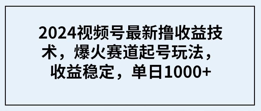 (9651期) 2024视频号最新撸收益技术，爆火赛道起号玩法，收益稳定，单日1000+-test