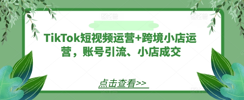 TikTok短视频运营+跨境小店运营，账号引流、小店成交-test