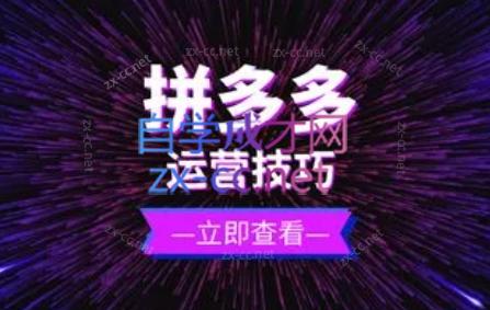 力辛电商·拼多多强付费店群玩法-test