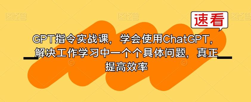 GPT指令实战课，学会使用ChatGPT，解决工作学习中一个个具体问题，真正提高效率-test