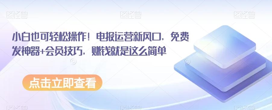 小白也可轻松操作！电报运营新风口，免费发神器+会员技巧，赚钱就是这么简单-test