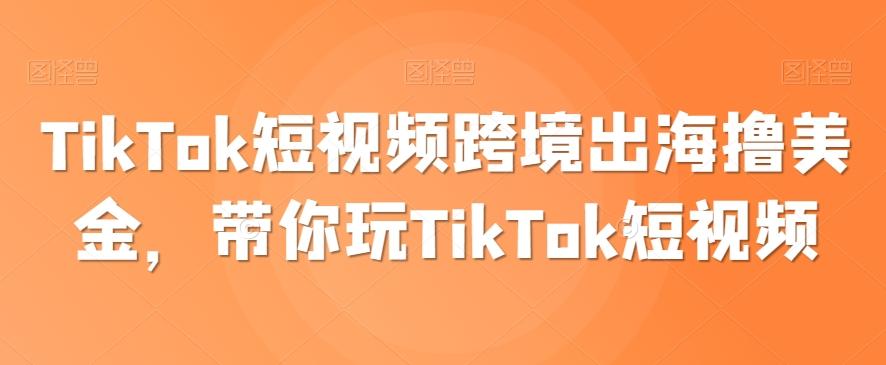 TikTok短视频跨境出海撸美金，带你玩TikTok短视频-test