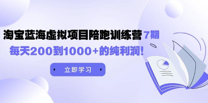 (9541期)黄岛主《淘宝蓝海虚拟项目陪跑训练营7期》每天200到1000+的纯利润-test