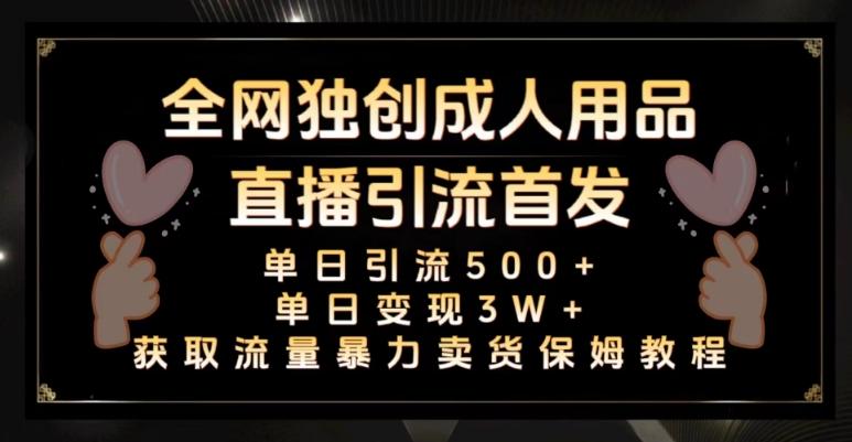 全网独创真人主播+无人直播单日引流500+，橙人用品暴力卖货单日变现3W+保姆似教学2.0【揭秘】-test