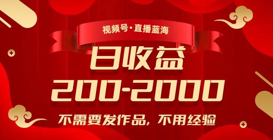 视频号直播蓝海，不需要发作品，不用经验，日入200-2000+【揭秘】-test