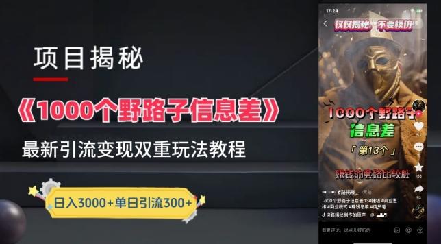 一千个野路子信息差最新玩法教程-变现+引流的玩法具体拆解【揭秘】-test