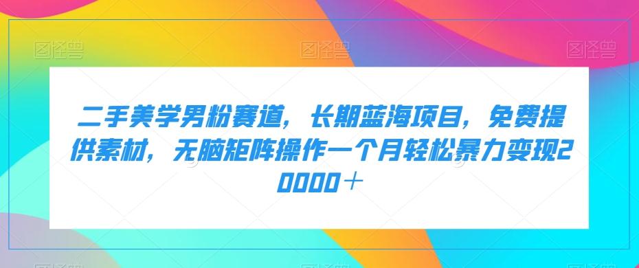 二手美学男粉赛道，长期蓝海项目，无脑矩阵操作一个月轻松暴力变现20000＋-test