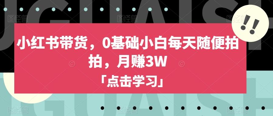 小红书带货，0基础小白每天随便拍拍，月赚3W【揭秘】-test
