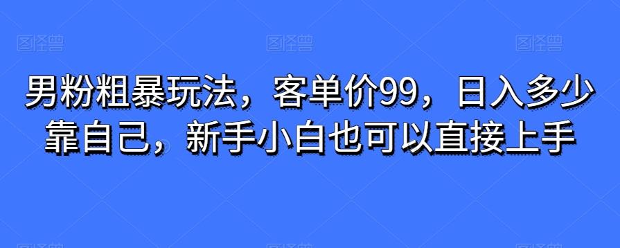 男粉粗暴玩法，客单价99，日入多少靠自己，新手小白也可以直接上手-test