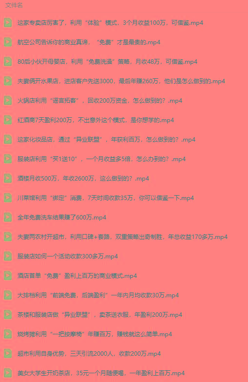 图片[5]-(9607期)真实有效391套商业模式，年入几十到几百万案例解析(电子书+视频+图文)-test
