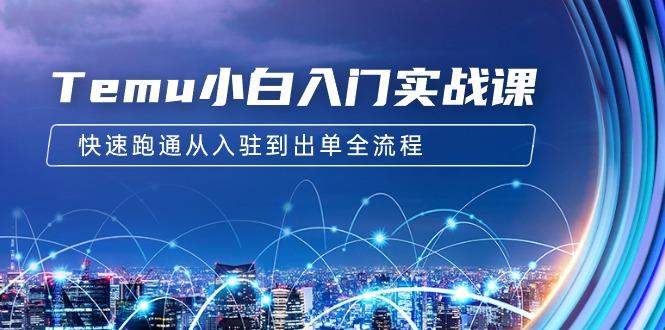 (9295期)Temu小白入门实战课：跨境拼多多电商培训 快速跑通从入驻到出单全流程-12节-test