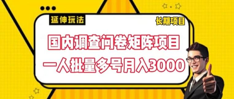 国内调查问卷矩阵项目，一人批量多号月入3000【揭秘】-test