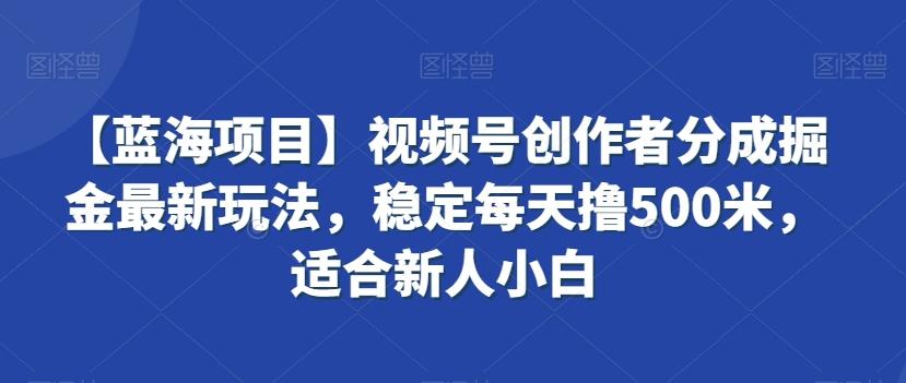 【蓝海项目】视频号创作者分成掘金最新玩法，稳定每天撸500米，适合新人小白【揭秘】-test