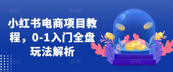 小红书电商项目教程，0-1入门全盘玩法解析-test
