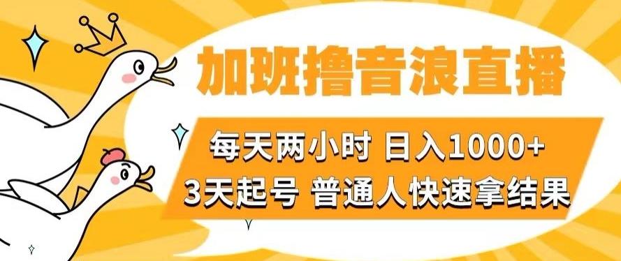 加班撸音浪直播，每天两小时，日入1000+，直播话术才3句，3天起号，普通人快速拿结果【揭秘】-test