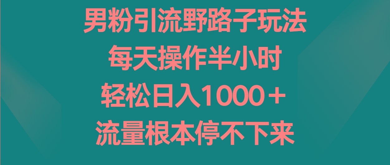 男粉引流野路子玩法，每天操作半小时轻松日入1000＋，流量根本停不下来-test