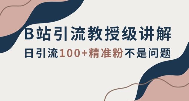B站引流教授级讲解，细节满满，日引流100+精准粉不是问题【揭秘】-test