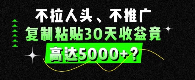 不拉人头、不推广，复制粘贴30天收益竟高达5000+？-test