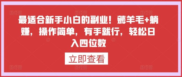 最适合新手小白的副业！薅羊毛+躺赚，操作简单，有手就行，轻松日入四位数【揭秘】-test