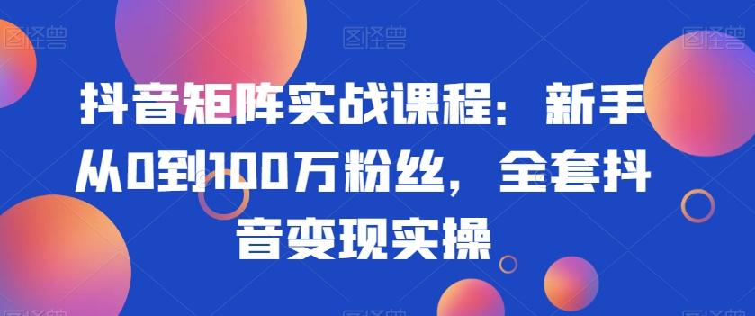 抖音矩阵实战课程：新手从0到100万粉丝，全套抖音变现实操-test
