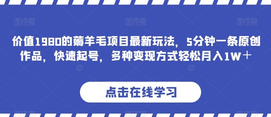 价值1980的薅羊毛项目最新玩法，5分钟一条原创作品，快速起号，多种变现方式轻松月入1W＋【揭秘】-test