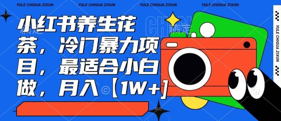 小红书养生花茶，冷门暴力项目，最适合小白做，月入【1W+】-test