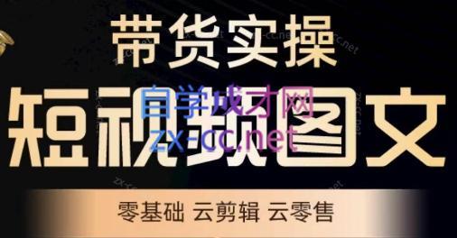 鑫哥·2024零基础短视频带货实操营-test
