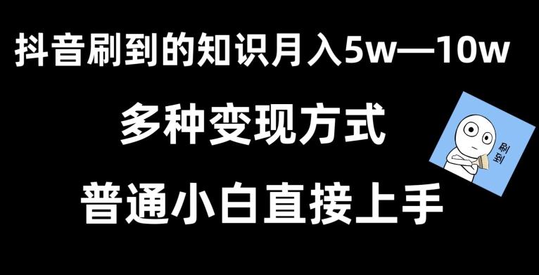 抖音刷到的知识，每天只需2小时，日入2000+，暴力变现，普通小白直接上手【揭秘】-test