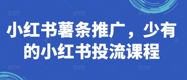 小红书薯条推广，少有的小红书投流课程-test