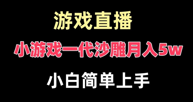 玩小游戏一代沙雕月入5w，爆裂变现，快速拿结果，高级保姆式教学【揭秘】-test