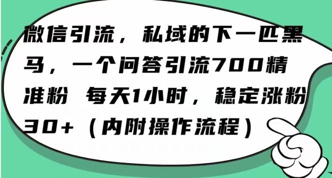 怎么搞精准创业粉？微信新赛道，每天一小时，利用Ai一个问答日引100精准粉-test