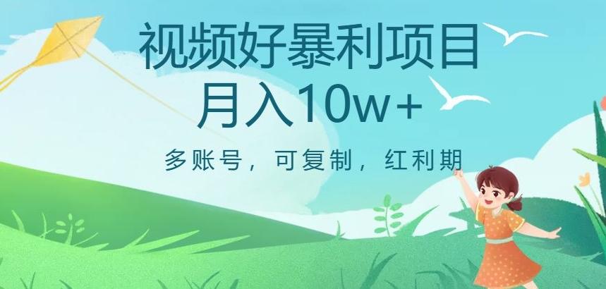视频号暴利项目，多账号，可复制，红利期，月入10w+【揭秘】-test