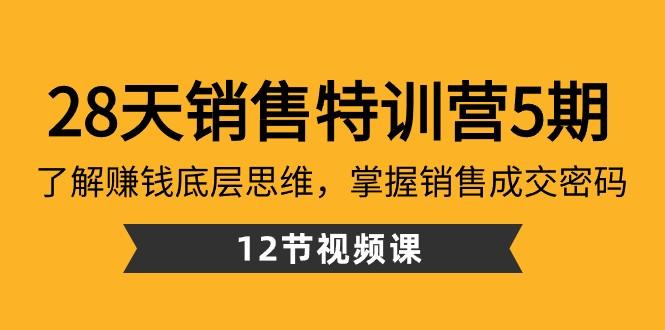 28天销售特训营5期：了解赚钱底层思维，掌握销售成交密码（12节课）-test