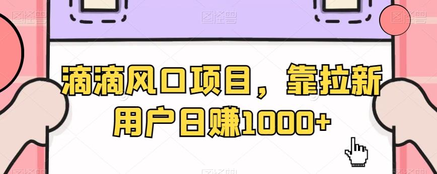 滴滴风口项目，靠拉新用户日赚1000+-test