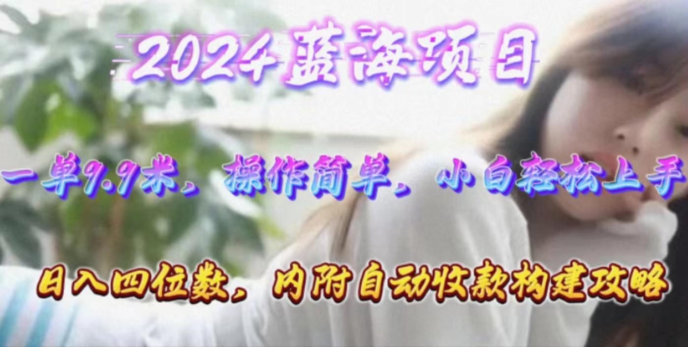 年轻群体的蓝海市场，1单9.9元，操作简单，小白轻松上手，日入四位数-test
