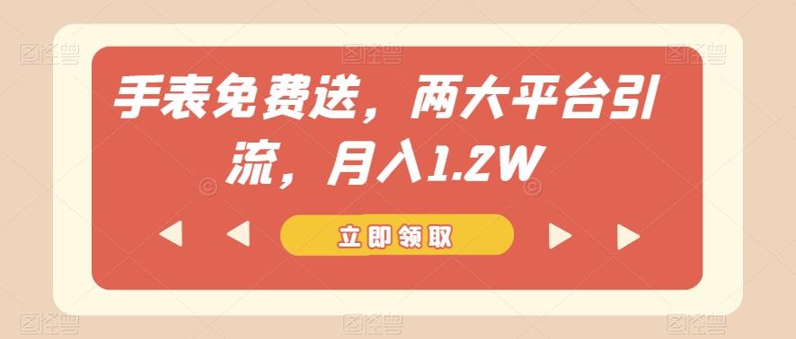 手表免费送，两大平台引流，月入1.2W【揭秘】-test