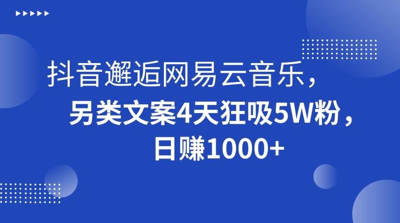 抖音邂逅网易云音乐，另类文案4天狂吸5W粉，日赚1000+【揭秘】-test