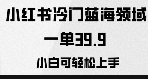 小红书冷门蓝海领域，一单39.9，小白可轻松上手-test
