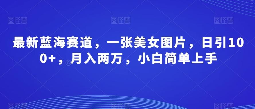 最新蓝海赛道，一张美女图片，日引100+，月入两万，小白简单上手-test