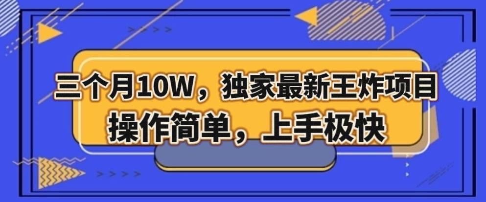 三个月10W，独家最新王炸项目！操作简单，上手极快【揭秘】-test