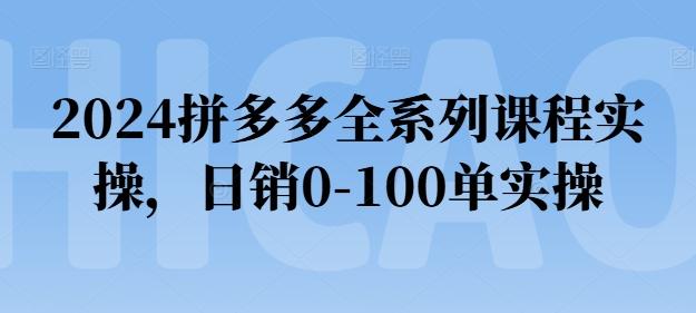 2024拼多多全系列课程实操，日销0-100单实操【必看】-test