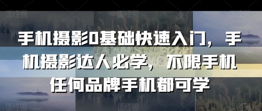 手机摄影0基础快速入门，手机摄影达人必学，不限手机任何品牌手机都可学-test