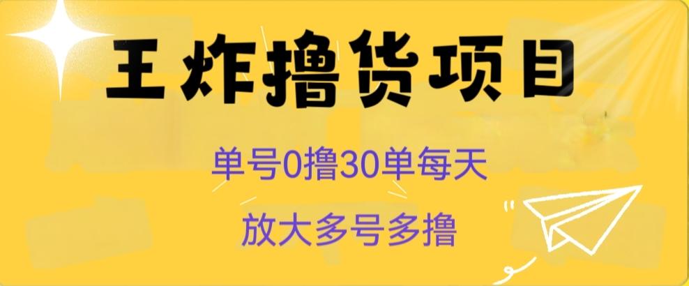 王炸撸货项目，单号0撸30单每天，多号多撸【揭秘】-test