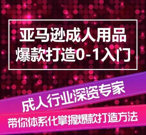 亚马逊成人用品爆款打造0-1入门，系统化讲解亚马逊成人用品爆款打造的流程-test