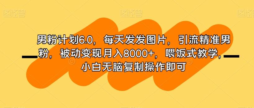 男粉计划6.0，每天发发图片，引流精准男粉，被动变现月入8000+，喂饭式教学，小白无脑复制操作即可-test
