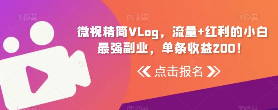 微视精简Vlog，流量+红利的小白最强副业，单条收益200！-test
