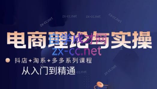 磊子·电商理论与实操(抖店+淘系+拼多多)-test